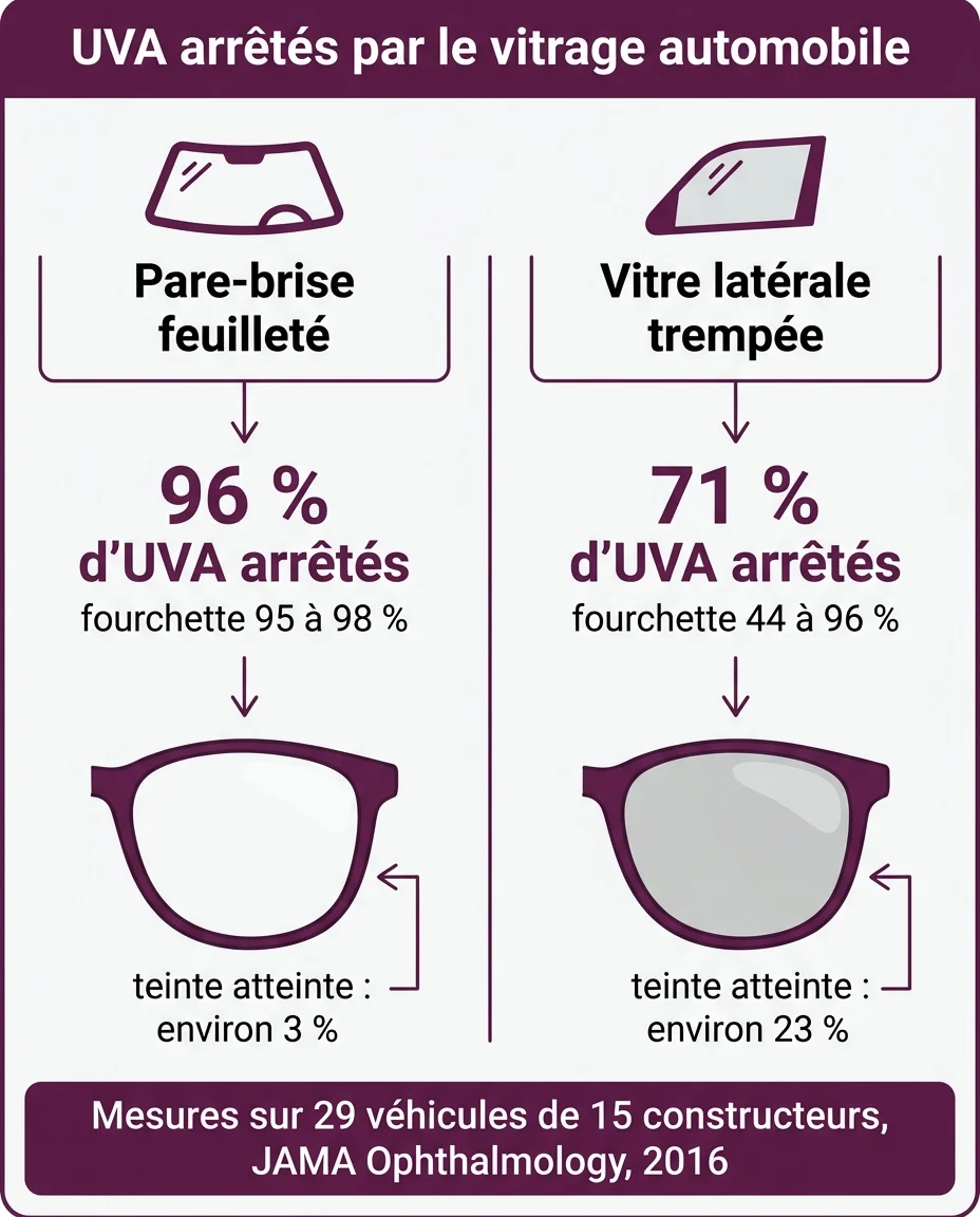 Ce que le pare-brise et la vitre latérale laissent passer