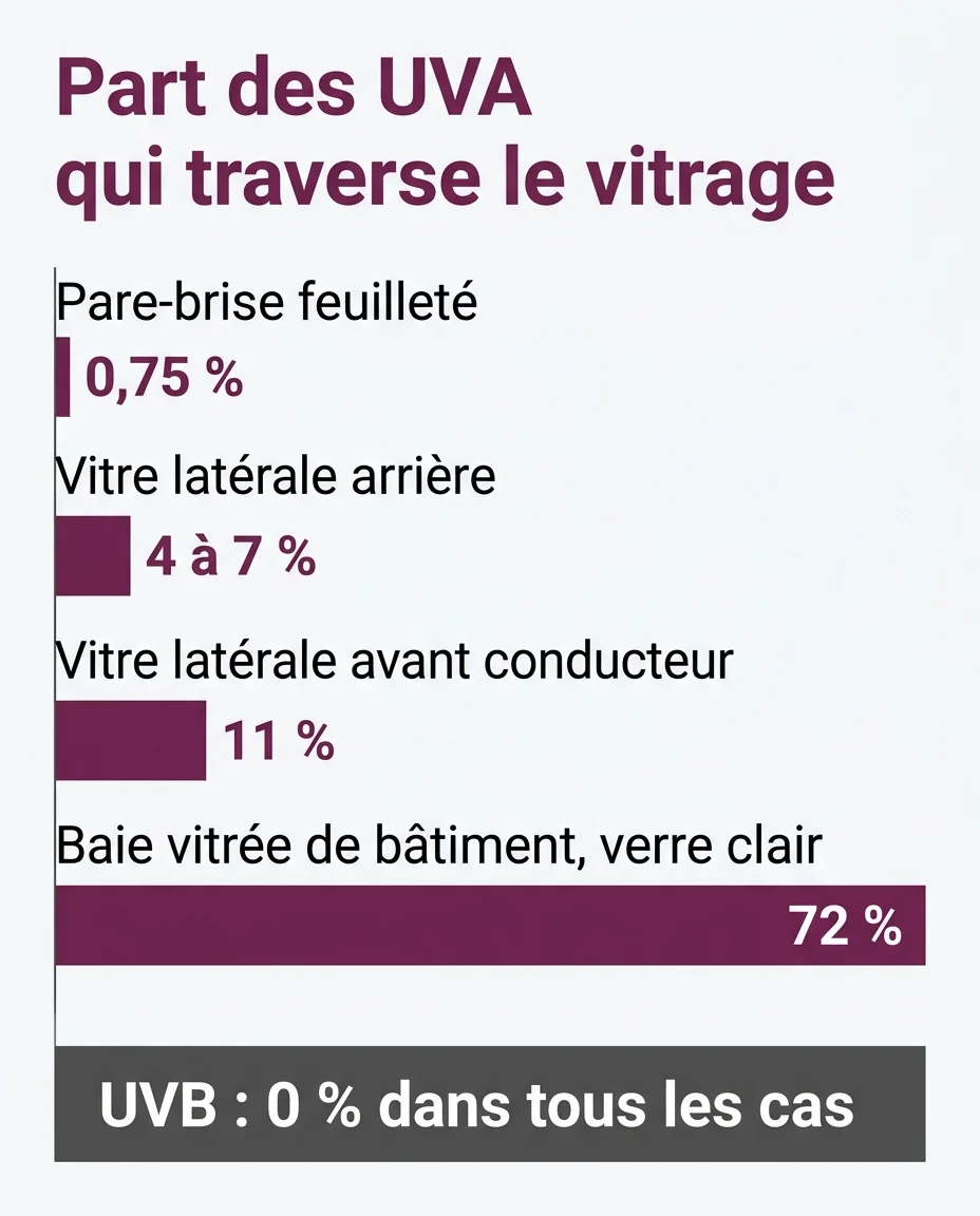 Part des UVA transmise selon le vitrage d'une voiture