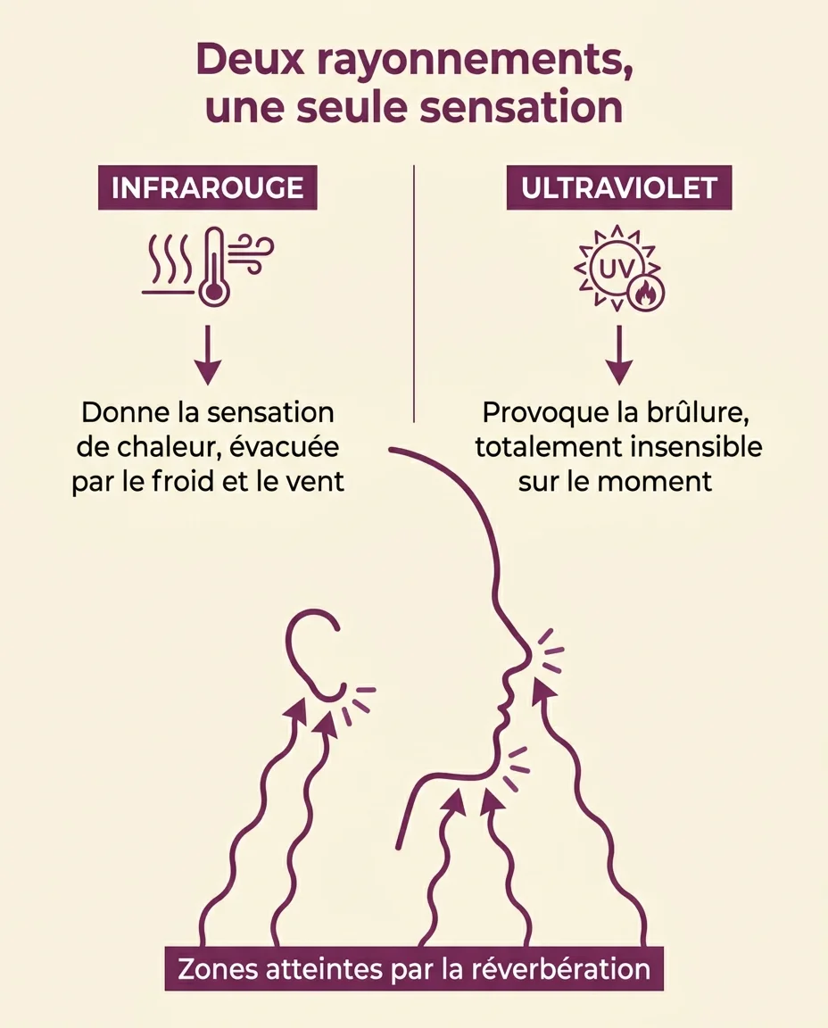 Pourquoi le froid supprime le signal d'alerte