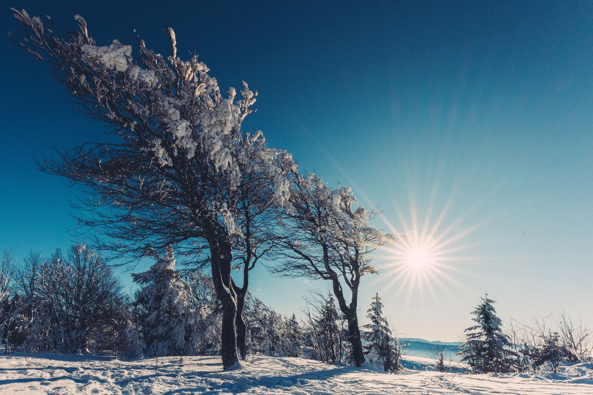 Soleil bas au-dessus d arbres givres en plein hiver