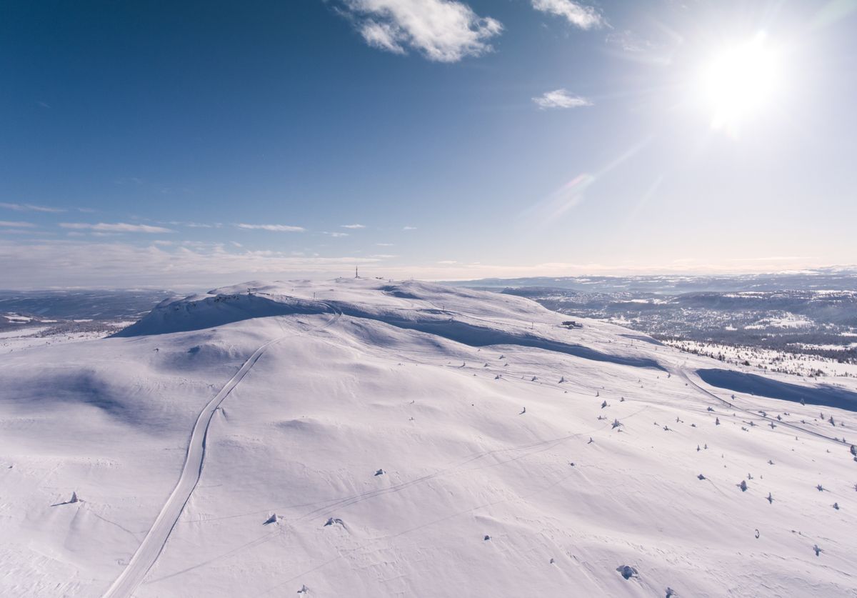 Vaste etendue de neige en montagne sous un soleil franc